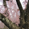 Img 0325