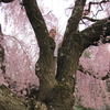 Img 0326