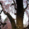 Img 0330