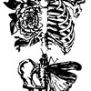 Trip S Tattoo Flash 3685