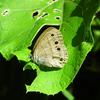 S0073739 Large 