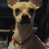 20120408 012635 1