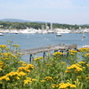 Fundy Bar 324