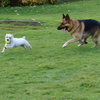 Dsc00037