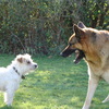 Dsc00249