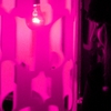 Dreamachine