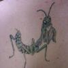 OCTOPUS INK