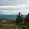 Billy daMountain