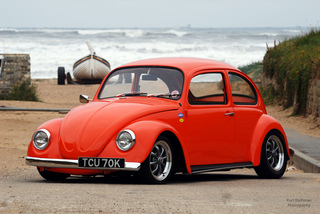 Bug lover Paul