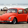 Bug lover Paul