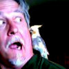 Rick N.