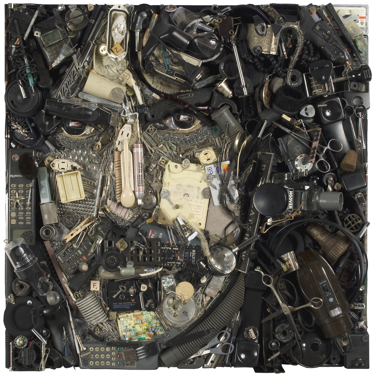 Frank Zappa By Jason Mercier