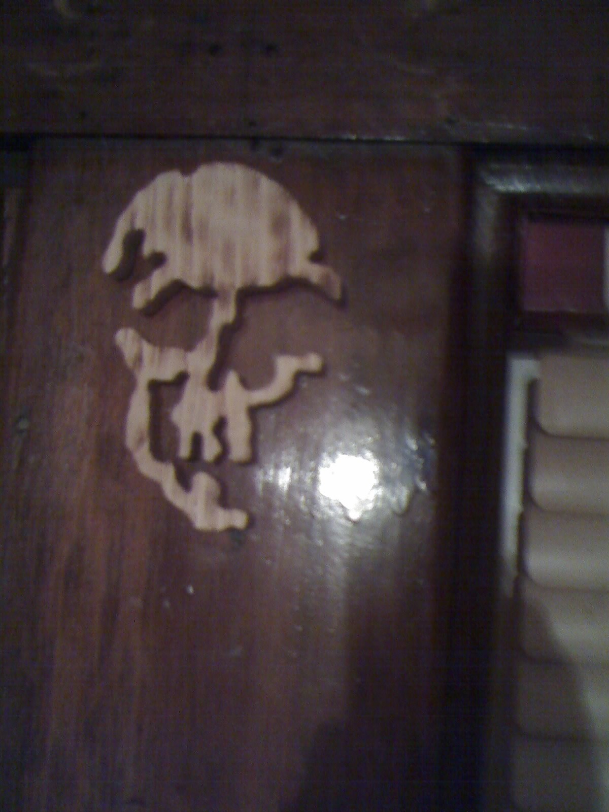 Skull1