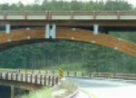 Bear Country