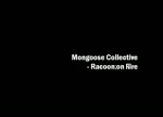 Racoon on Fire - Mongoose Collective